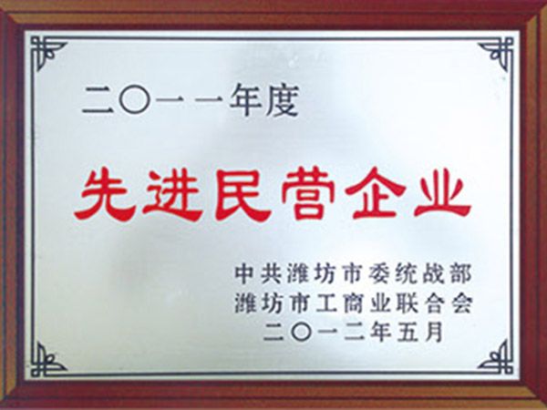 先進(jìn)民營(yíng)企業(yè)